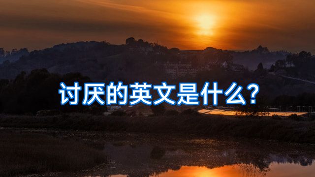 讨厌的英文是什么?