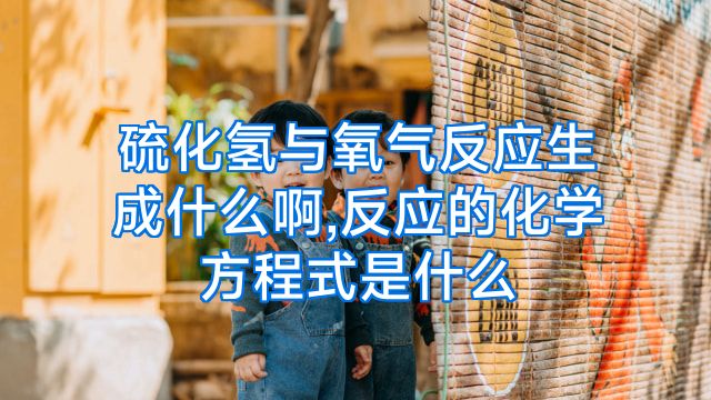 硫化氢与氧气反应生成什么啊,反应的化学方程式是什么