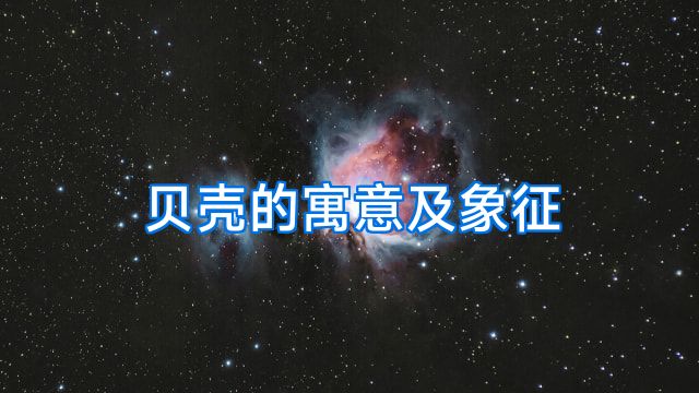 贝壳的寓意及象征