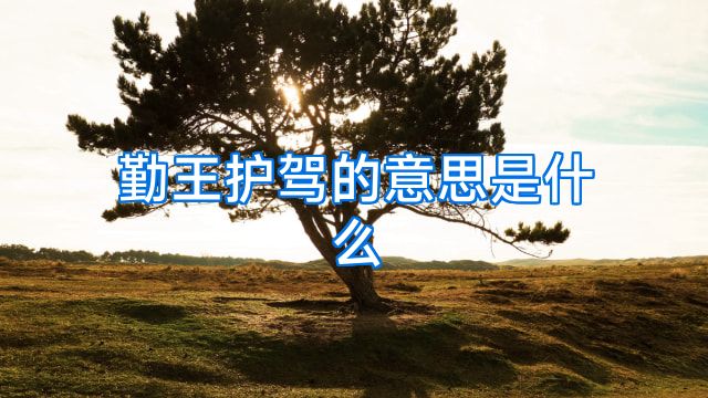 勤王护驾的意思是什么