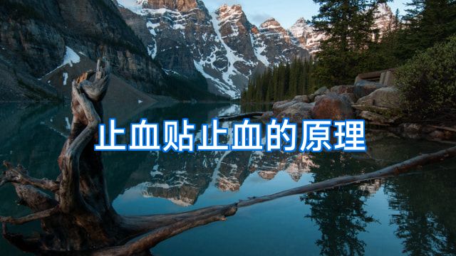止血贴止血的原理