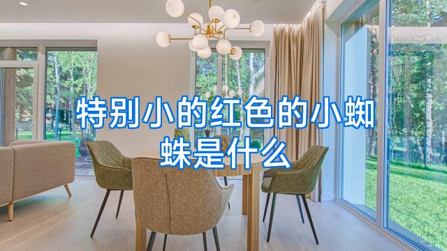 特别小的红色的小蜘蛛是什么