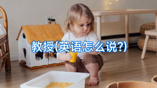 教授(英语怎么说?)