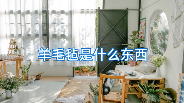 羊毛毡是什么东西