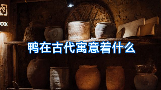鸭在古代寓意着什么