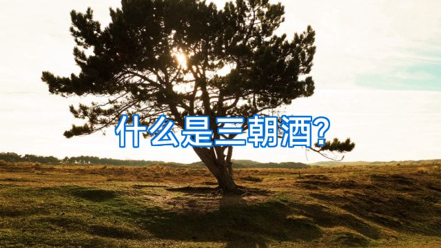 什么是三朝酒?