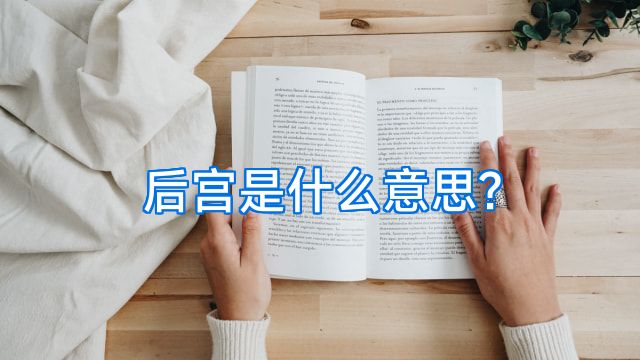 后宫是什么意思?