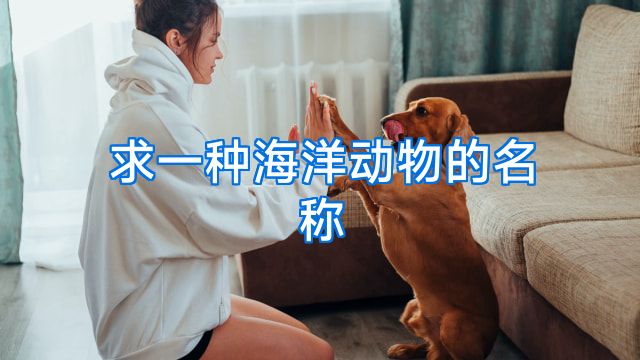 求一种海洋动物的名称