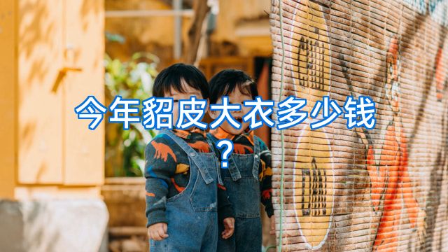 今年貂皮大衣多少钱?