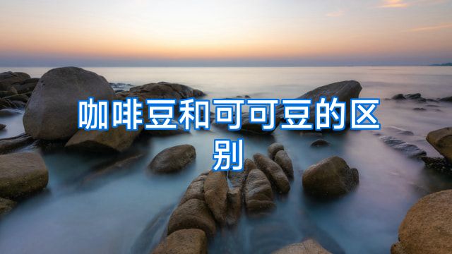 咖啡豆和可可豆的区别