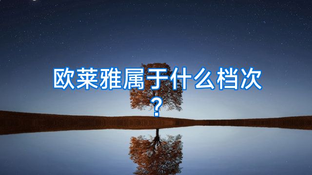欧莱雅属于什么档次?