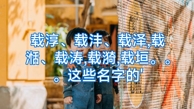 载淳、载沣、载泽,载湉、载涛,载漪,载垣。。。这些名字的'