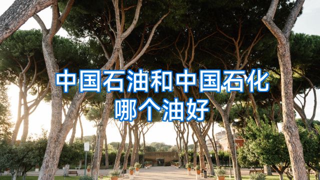 中国石油和中国石化哪个油好
