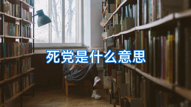死党是什么意思