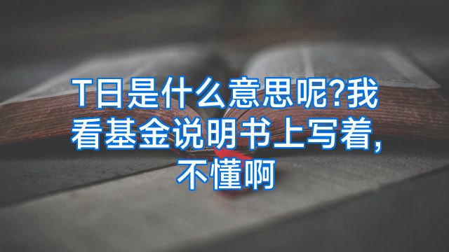 T日是什么意思呢?我看基金说明书上写着,不懂啊