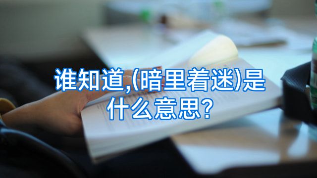 谁知道,(暗里着迷)是什么意思?