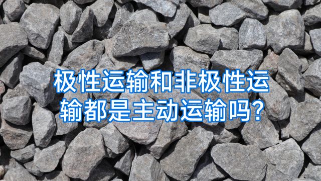 极性运输和非极性运输都是主动运输吗?