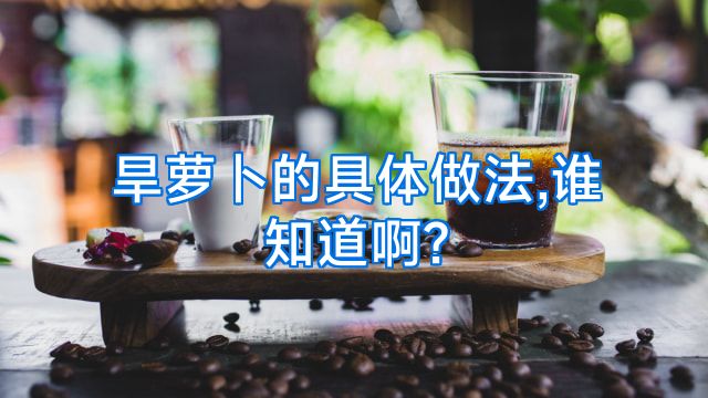 旱萝卜的具体做法,谁知道啊?