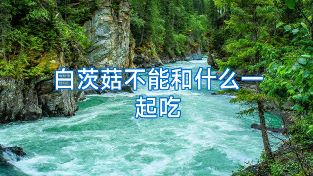 白茨菇不能和什么一起吃
