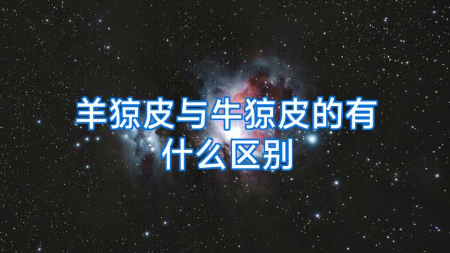 羊猄皮与牛猄皮的有什么区别