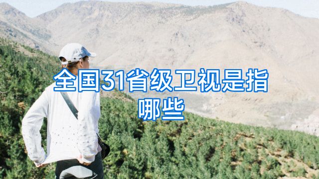 全国31省级卫视是指哪些