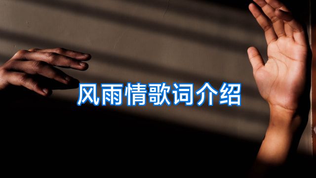 风雨情歌词介绍