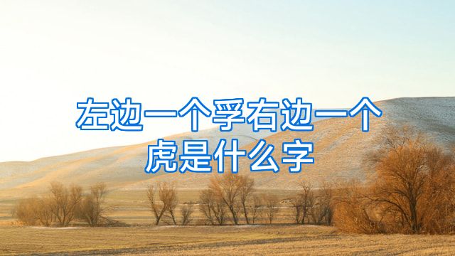 左边一个孚右边一个虎是什么字