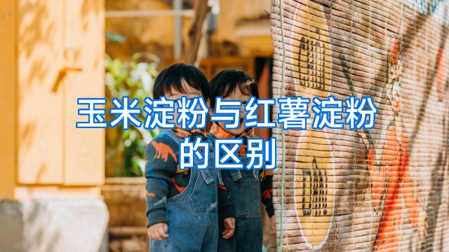玉米淀粉与红薯淀粉的区别