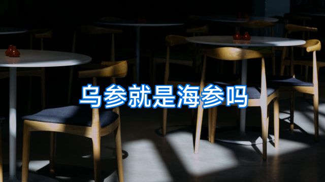 乌参就是海参吗