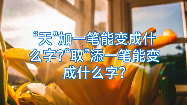 “天”加一笔能变成什么字?“取”添一笔能变成什么字?