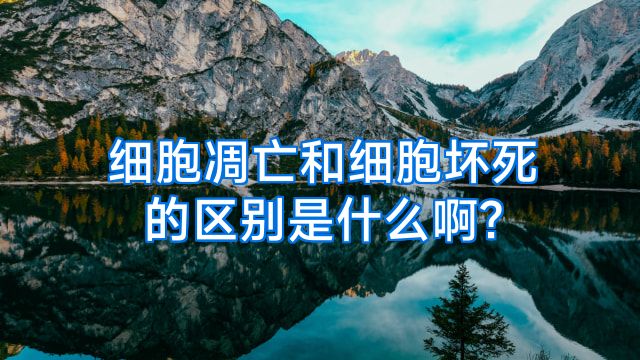 细胞凋亡和细胞坏死的区别是什么啊?