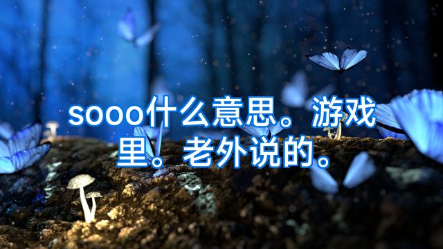 sooo什么意思。游戏里。老外说的。