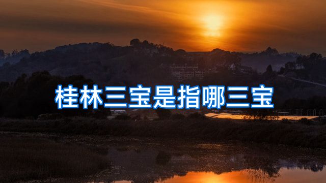 桂林三宝是指哪三宝