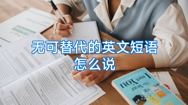 无可替代的英文短语怎么说