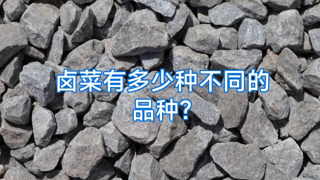 卤菜有多少种不同的品种?