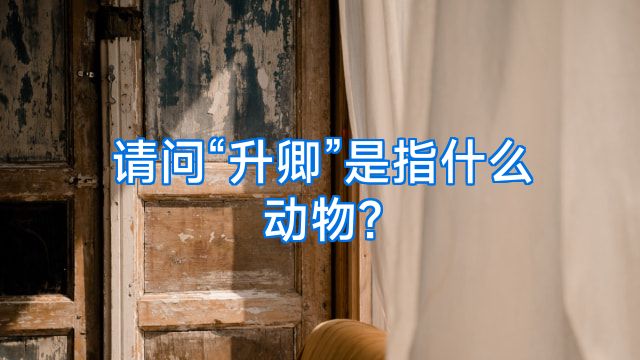 请问“升卿”是指什么动物?