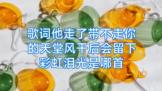 歌词他走了带不走你的天堂风干后会留下彩虹泪光是哪首