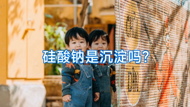 硅酸钠是沉淀吗?