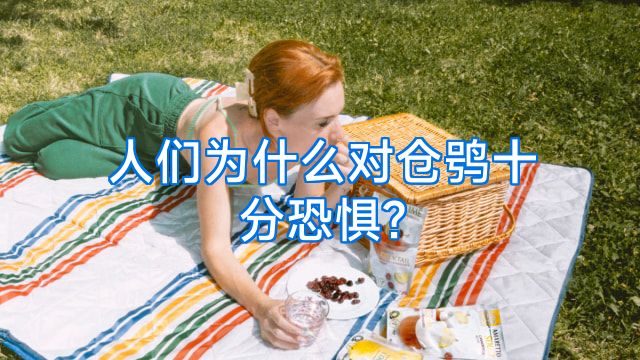 人们为什么对仓鸮十分恐惧?
