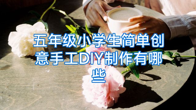 五年级小学生简单创意手工DIY制作有哪些