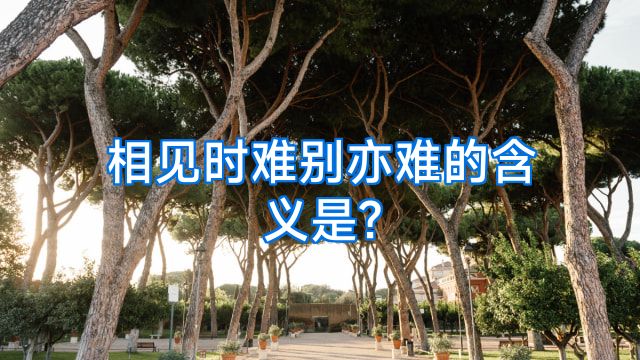 相见时难别亦难的含义是?