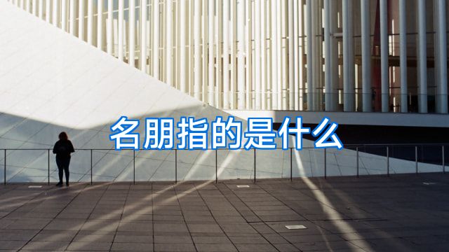 名朋指的是什么