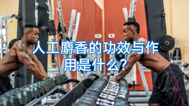 人工麝香的功效与作用是什么?