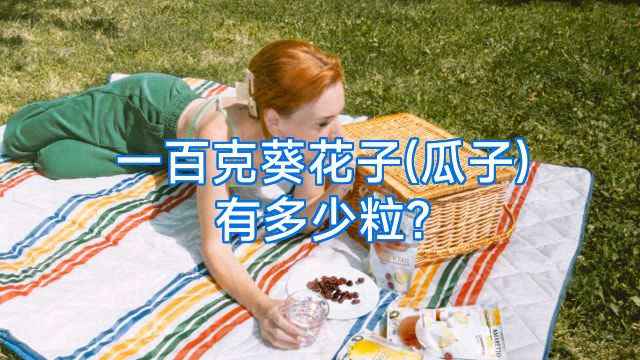 一百克葵花子(瓜子)有多少粒?