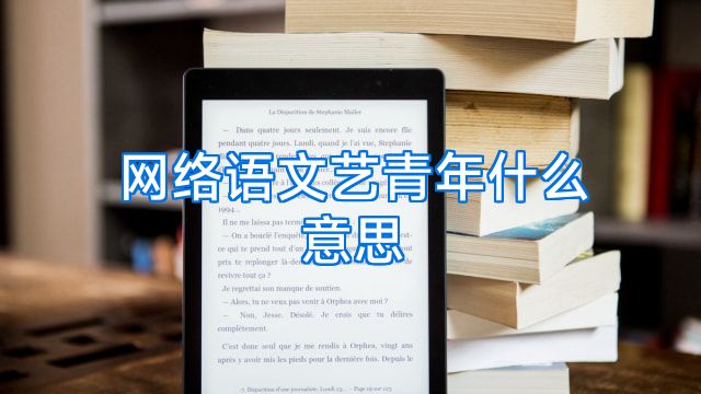 网络语文艺青年什么意思