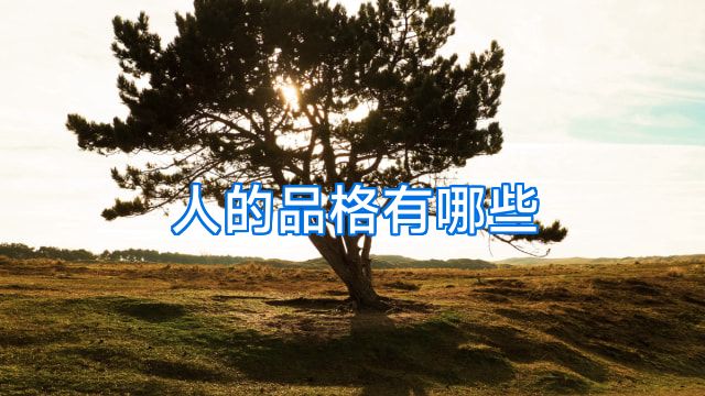 人的品格有哪些