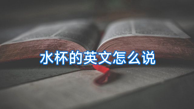 水杯的英文怎么说
