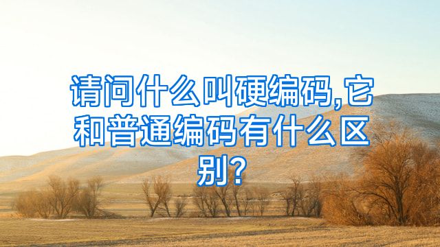 请问什么叫硬编码,它和普通编码有什么区别?
