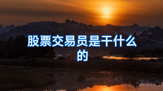 股票交易员是干什么的