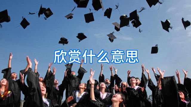 欣赏什么意思